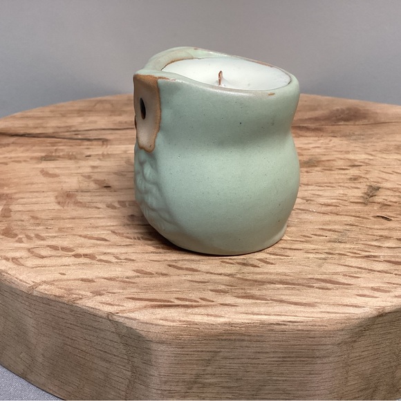 Owl Wood Wick Candle - Repurposed Planter - Gingerbread Vanilla Scent - Unique - Picture 3 of 10
